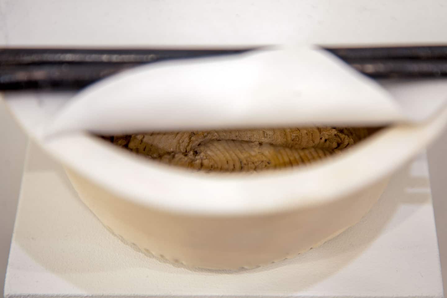 Ryan Quast at Wil Aballe Art Projects